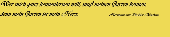 Zitat