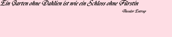 Zitat